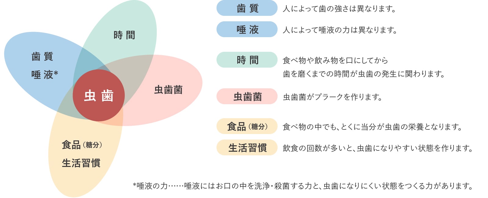 いつまでも自分の歯で快適な生活を送るために