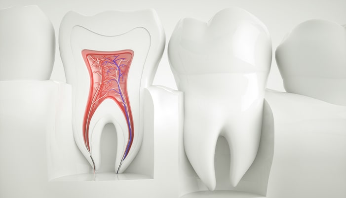 「歯を残す」根管治療の重要性
